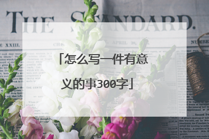 怎么写一件有意义的事300字