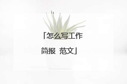 怎么写工作简报 范文