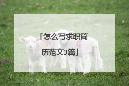 怎么写求职简历范文3篇
