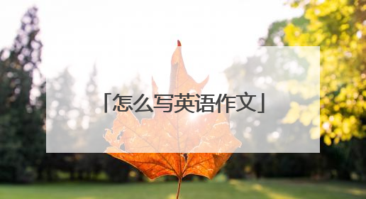 怎么写英语作文