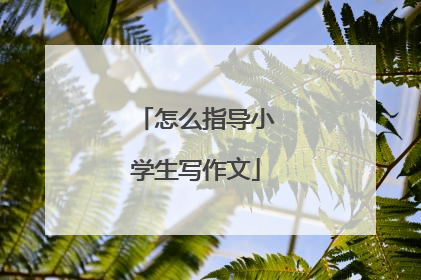 怎么指导小学生写作文