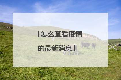 怎么查看疫情的最新消息