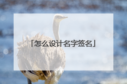 怎么设计名字签名