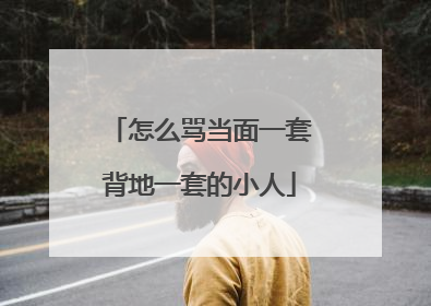 怎么骂当面一套背地一套的小人