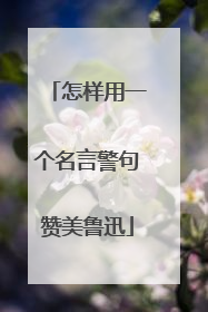 怎样用一个名言警句赞美鲁迅