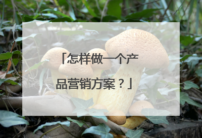 怎样做一个产品营销方案?