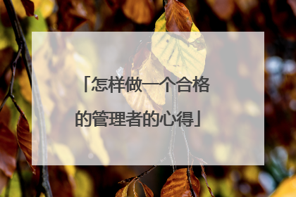 怎样做一个合格的管理者的心得
