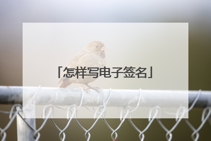 怎样写电子签名