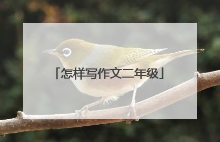 怎样写作文二年级