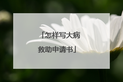 怎样写大病救助申请书