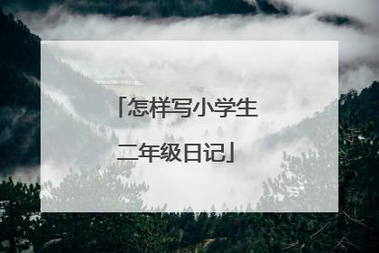 怎样写小学生二年级日记