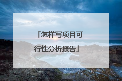 怎样写项目可行性分析报告