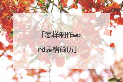 怎样制作word表格简历