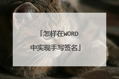怎样在WORD中实现手写签名