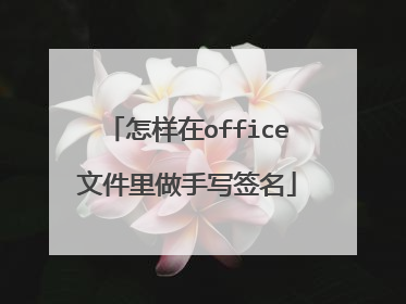 怎样在office文件里做手写签名