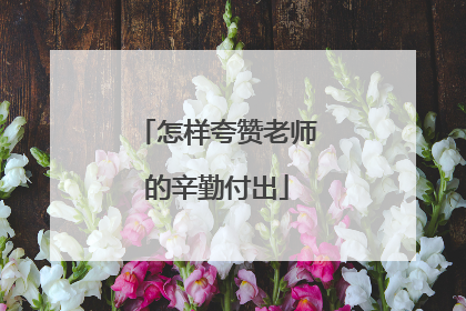 怎样夸赞老师的辛勤付出