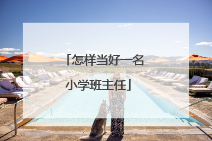 怎样当好一名小学班主任