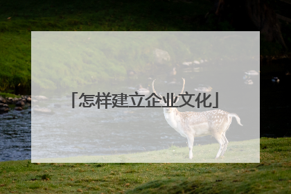 怎样建立企业文化