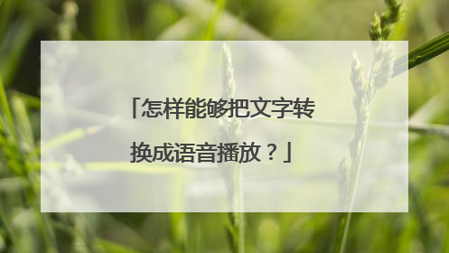 怎样能够把文字转换成语音播放？