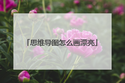 思维导图怎么画漂亮