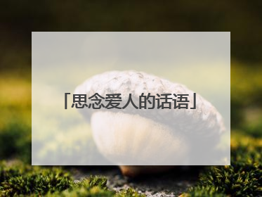 思念爱人的话语