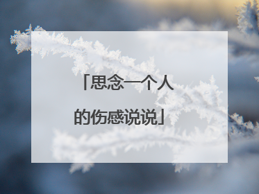 思念一个人的伤感说说