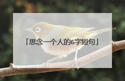 思念一个人的6字短句