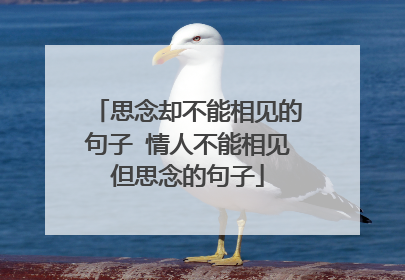 思念却不能相见的句子 情人不能相见但思念的句子