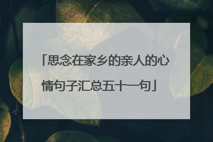 思念在家乡的亲人的心情句子汇总五十一句