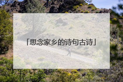 思念家乡的诗句古诗
