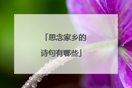 思念家乡的诗句有哪些