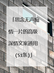 思念无声痴情一片的高级深情文案通用(51条)