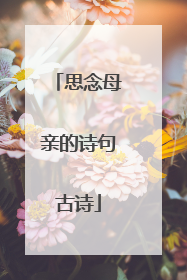 思念母亲的诗句古诗