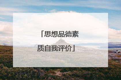 思想品德素质自我评价