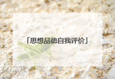 思想品德自我评价