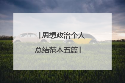 思想政治个人总结范本五篇