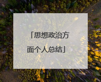 思想政治方面个人总结