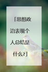 思想政治表现个人总结是什么?