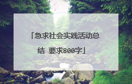 急求社会实践活动总结 要求800字