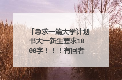 急求一篇大学计划书大一新生要求1000字!!!有回者感激不尽!!