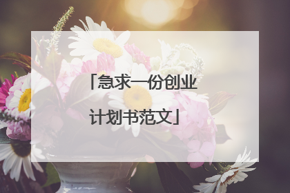 急求一份创业计划书范文