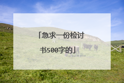急求一份检讨书500字的