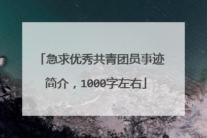 急求优秀共青团员事迹简介，1000字左右