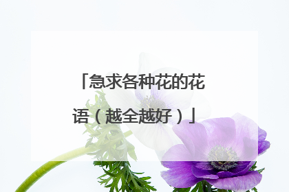 急求各种花的花语（越全越好）