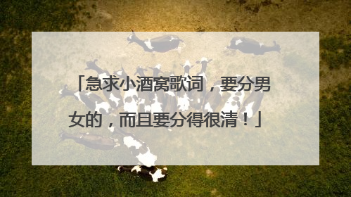 急求小酒窝歌词,要分男女的,而且要分得很清!