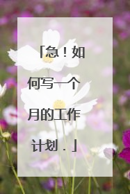 急！如何写一个月的工作计划．