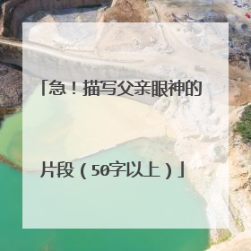急！描写父亲眼神的片段（50字以上）
