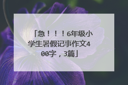 急!!!6年级小学生暑假记事作文400字,3篇