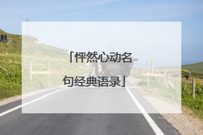 怦然心动名句经典语录