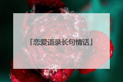 恋爱语录长句情话